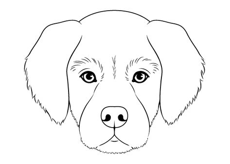 Easy Drawing Tutorials for Beginner & Intermediate Artists Dog Front View Drawing, Dog Face Drawing Simple, How To Draw A Dog Face, Dog Head Drawing, Squished Face, Dog Drawing Reference, Head Drawings, Draw Head, Draw Dog