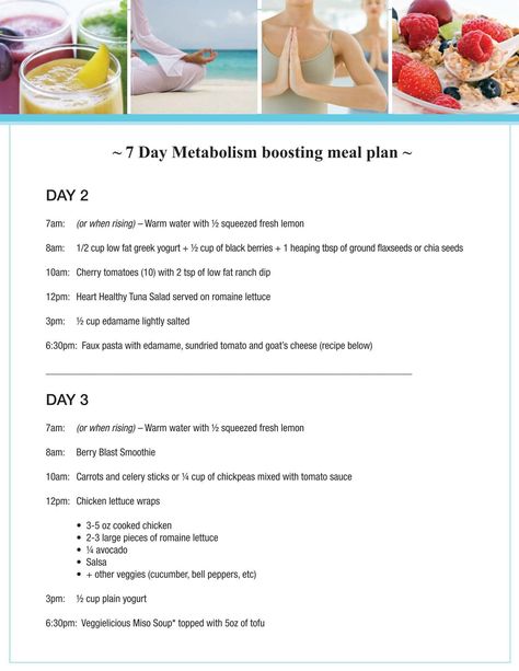 7 Day Metabolism boosting meal plan Svelte Training Meal Plan, Svelte 7 Day Meal Plan, Metaboost 3 Day Plan, Svelte 3 Day Meal Plan, Metaboost 7 Day Meal Plan, Metaboost 3 Day Meal Plan, Metaboost 7 Day Meal Plan Svelte, Metabolic Confusion Meal Plan, Metaboost Connection