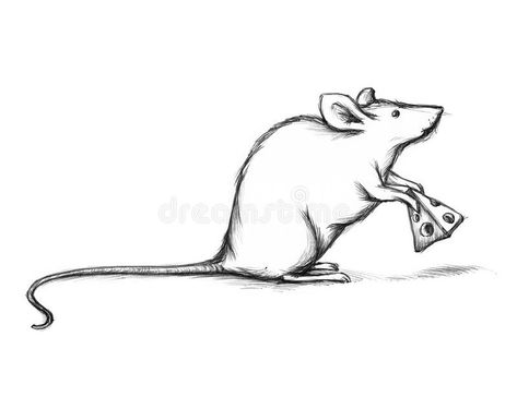 House mouse with cheese. Illustration of a house mouse with cheese , #SPONSORED, #mouse, #House, #cheese, #house, #Illustration #ad Mouse Eating Cheese Drawing, Cheese Illustration, Cheese House, Mouse With Cheese, Cheese Drawing, Horror Drawing, Mouse Drawing, Mouse House, House Illustration