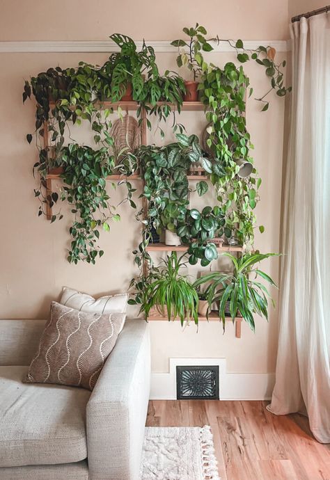 Living Room Plant Inspiration, Indoor Greenery Decor, Apartment Filled With Plants, House Full Of Plants Aesthetic, Plant Wall Apartment, Plant Life Aesthetic, Witchy Plants Aesthetic, Plant Esthetics, Plant Wall Bedroom