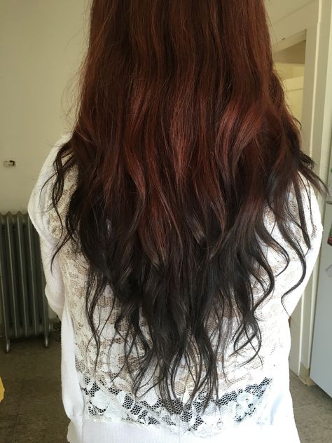 The back of my head!  Reverse ombré- red to black Burnt Ends Hair Dye, Red Almost Black Hair, Natural Red Hair With Black Underneath, Black Ends Hair, Black Tip Hair, Black Tipped Hair, Auburn And Black Hair, Red Hair With Black Ends, Ginger Hair With Black Tips