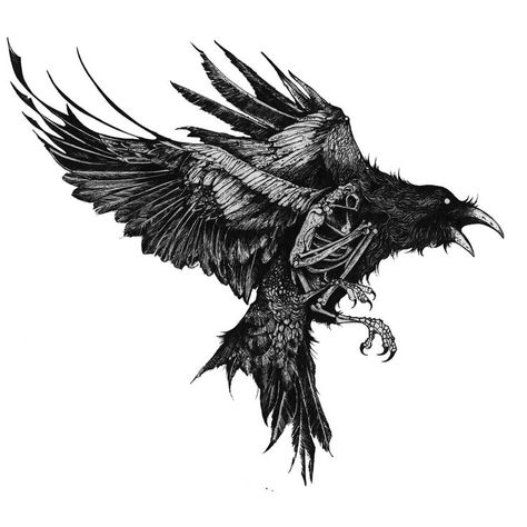 Tattoo Crane, Rabe Tattoo, Crow Tattoo Design, Crow Tattoo, Norse Tattoo, Tattoo Templates, Nordic Tattoo, Raven Tattoo, Geniale Tattoos