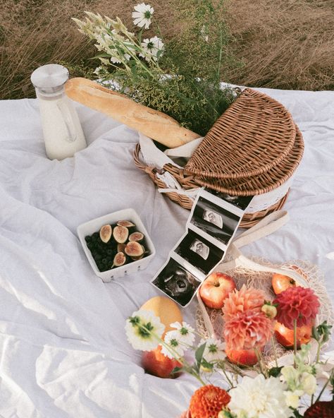 Film inspired maternity session. 🧺🍎🥖 They came to me with a vision and I’m LOVING the outcome ✨ Maternity Photography Picnic, Picnic Pregnancy Announcement, Maternity Picnic, Pregnancy Announcement Pictures, Announcement Photos, Baby Announcement Photos, Maternity Shoot, Pregnancy Shoot, Maternity Session