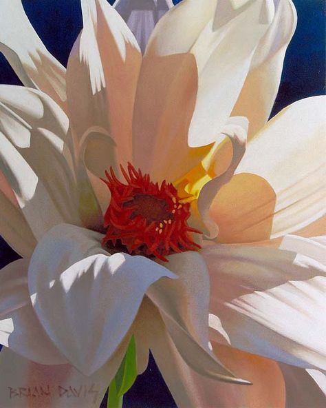 Brian Davis, Oil Painting Flowers, Watercolor Inspiration, Flower Art Painting, Dec 7, Big Flowers, Flower Photos, Botanical Art, Floral Painting