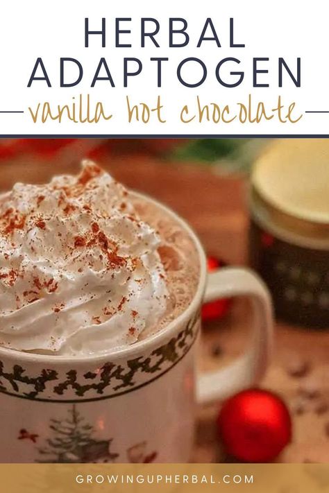 Herbal adaptogens and classic vanilla and chocolate flavors star in this seasonal, stress-supporting vanilla hot cocoa recipe! Not only is it a tasty healthy winter drink all season long, but it's so good for your body! Get the recipe and give it a try here! Best Non Alcoholic Drinks, Healthy Beverages, Winter Drink, Summer Drinks Alcohol, Hot Cocoa Recipe, Winter Wellness, Cocoa Recipes, Hot Chocolate Recipe, Winter Tea