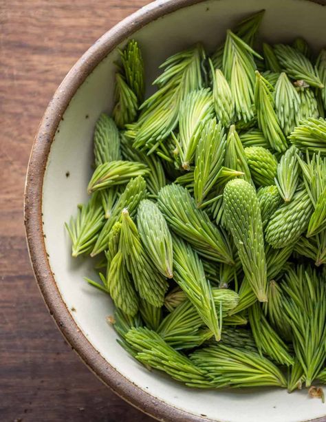 Spruce Tips, Edible Flowers Recipes, Edible Wild Plants, Foraged Food, Unflavored Gelatin, Harvest Recipes, Canadian Food, Berries Recipes, Different Cakes