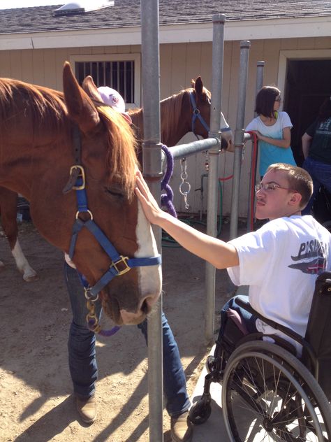 Therapy Horses are gentle and relaxed! Riders learn to read the horse's body language while working with them. Big Girl Widget meeting Mike @ The Heart Of The HorseTherapy Ranch!!! Horses Healing Humans, Bemer Therapy Horse, Horse Rehabilitation Center, Pemf Therapy Horses, Therapeutic Riding, Therapeutic Horseback Riding, Horse Country, Equine Therapy, Horse Ears