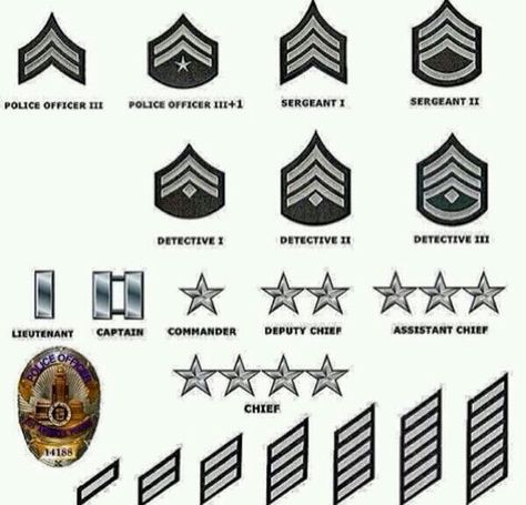 Police Rank, Fallen Officer, Fire Badge, Army Ranks, Military Ranks, Police Life, Los Angeles Police Department, Police Academy, Police Uniforms