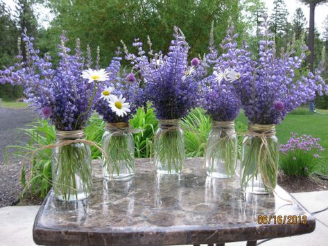 Lupin Wedding, Country Flower Arrangements, Wild Lupine, Peach Pink Wedding, Shasta Daisy, Diy Flower Boxes, Flowers Wild, Daisy Bouquet, Home Floral Arrangements