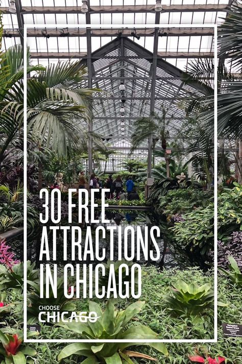 Your next trip doesn't need to be expensive! Here are 30 #Chicago attractions that are free. #ChicagoHome #travel Apartment Chicago, Chicago Places To Visit, Chicago Bucket List, Chicago Attractions, Chicago Travel Guide, Chicago Vacation, Chicago Things To Do, Chicago Aesthetic, Ankle Grazer Jeans