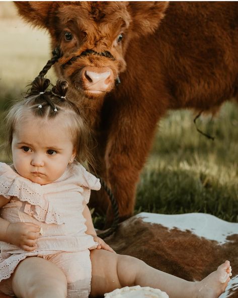 Kinzleys cake smash session 🐮 #highlandcow #babyhighlandcow #cakesmashphotography #cakesmash #photography #cow #cowphotography #cakesmashsession #highlandcowsofinstagram #photoshoot Boho Photoshoot, Cow Photography, North Idaho, Baby Highland Cow, Cake Smash Photography, Mini Session, Mini Sessions, Highland Cow, Cake Smash