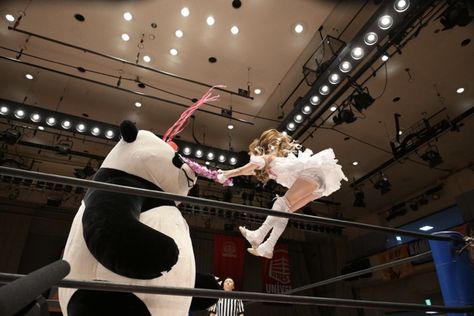 31 Japanese Wrestling Moments ft. A Giant Panda - Funny Gallery Luchador Masks, Panda Names, Japanese Wrestling, Panda Funny, Big Guys, Giant Panda, Music Band, Reference Photos, Art References