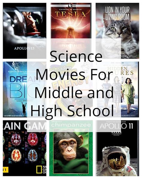 Science Powerpoint, Science Movies, Earth Science Lessons, Middle School Lessons, 6th Grade Science, Fashion Crafts, High School Science, Homeschool High School, Science Curriculum