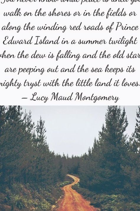 “You never know what peace is until you walk on the shores or in the fields or along the winding red roads of Prince Edward Island in a summer twilight when the dew is falling and the old stars are peeping out and the sea keeps its mighty tryst with the little land it loves.” – Lucy Maud Montgomery Cavendish Pei, Language Tree, Dreamy Quotes, Anne Of The Island, Island Quotes, Lucy Maud Montgomery, Things About Boyfriends, Famous Movie Quotes, Historical Quotes