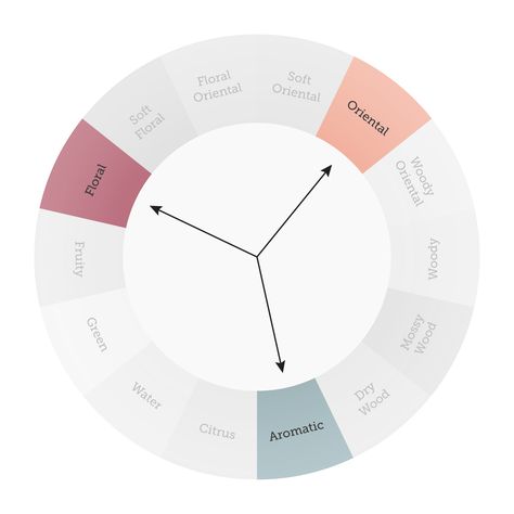 Your Guide to the Fragrance Wheel | FragranceX.com Fragrance Wheel, Fragrance Chart, Perfume Wheel, Perfume Chart Fragrance, Fragrance Notes Chart, Perfume Notes Chart, Candle Making Fragrance Ratio, Fragrance Wheel Perfume, Candle Fragrance Calculator