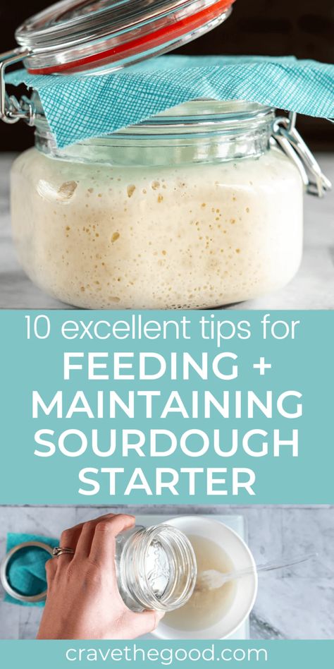 Feed Sourdough Starter, Feeding Sourdough Starter, Best Sourdough Starter, Feeding Sourdough, Best Sourdough Starter Recipe, Dough Starter Recipe, Make A Sourdough Starter, Healthy Starters, Easy Sourdough Bread Recipe