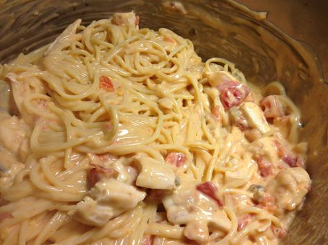 Easy Spicy Southern Chicken Spaghetti – Delightful-Delicious-Delovely Southern Chicken Spaghetti, Cheesy Chicken Spaghetti, Southern Chicken, Chicken Spaghetti Recipes, Baked Tomatoes, Chicken Spaghetti, Vegetarian Soup, Spaghetti Recipes, Cheesy Chicken