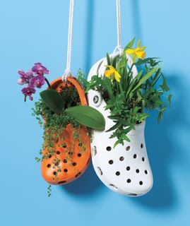 Repurposing Crocs: From Gardening Shoe to Garden In Itself! Recycled Garden Planters, Recycled Planters, Creative Planter, Recycled Garden, Shabbat Shalom, Have Inspiration, Garden Containers, Small Space Gardening, Deco Floral