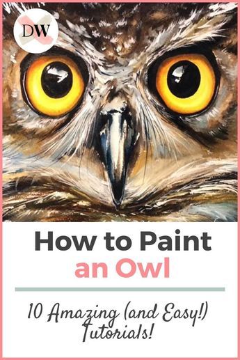 Draw An Owl Easy, Pictures Of Owls To Paint, Fall Owl Painting, Owl Watercolor Paintings Easy, Painted Owls On Wood, How To Paint An Owl, Owl Paintings On Canvas Easy, Owl Canvas Painting Easy, Owl Painting Easy