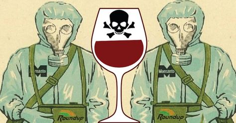 Glyphosate Found in California Wines Barolo Wine, Napa Wineries, Virginia Wineries, Wine Knowledge, Wine Logo, Italy Wine, Toxic Foods, Wine Gift Baskets, Wine Connoisseur