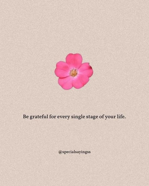 Romantice Your Life Quotes, Beatufil Quotes, Small Happiness Quotes, Happy And Grateful Quotes, One Line Thoughts Life, Dp Quotes Inspirational, Stages Of Life Quotes, Life Quotes Short Positive, Single Life Is Best Dp