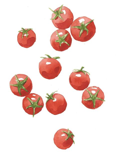 How to Paint Tomatoes (You’ll Be Amazed How Easy This Is!) Aquarelle Painting Easy, Watercolor Tomatoes, Tomato Color, Watercolor Food Illustration, Watercolor Patterns, Sketchbook Inspo, Watercolor Food, Watercolor Fruit, Watercolor Lessons