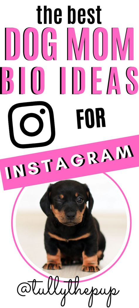 Elevate your dog's Instagram profile with these dog bio ideas! Looking to make your dog's Instagram account stand out? Discover creative and captivating dog Instagram bio ideas that will leave tails wagging and followers wanting more. Dog Mom Quotes, Instagram Bio Ideas, Dog Instagram, Bio Ideas, Mom Life Hacks, Wanting More, Instagram Bio, Dog Mom Gifts, Cute Dog