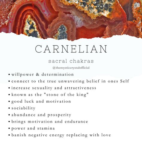 Carnelian Meaning - Mystic Crystal Dream Carnelian Stone Meaning, Carnelian Affirmation, Carnelian Crystal Meaning, Mindful Crafts, Carnelian Meaning, Medicine Plants, Earth Medicine, Crystals Meaning, Sturgeon Moon