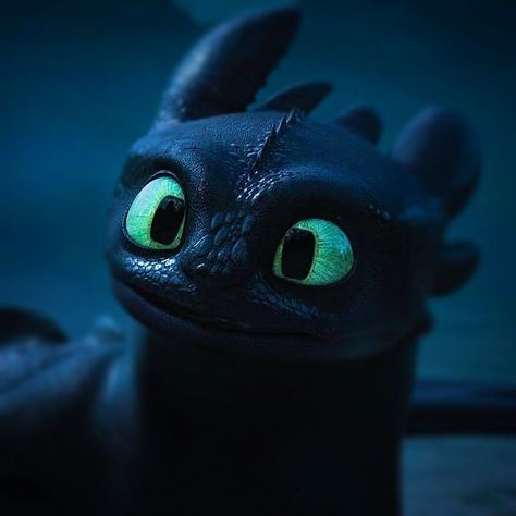 Teethless Dragon, Toothless Pfps, Alterhuman Identities, Toothless Pfp, Toothless Painting, Dragons Background, Toothless Httyd, Stank Face, Httyd Toothless