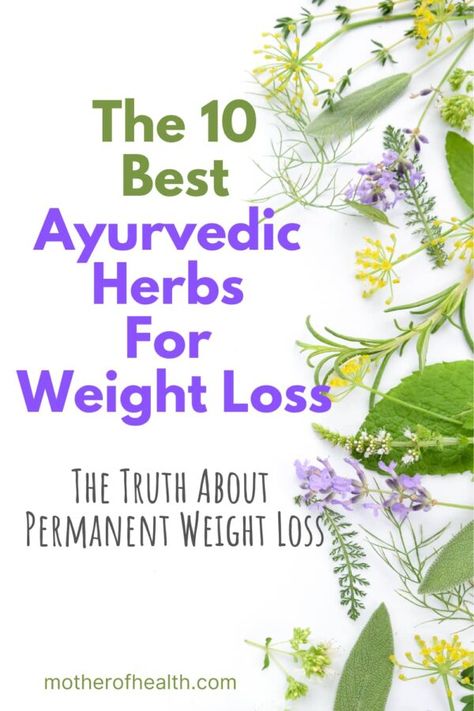 The 10 Best Ayurvedic Herbs For Weight Loss | Mother Of Health Ayurveda Medicine, Ayurvedic Lifestyle, Ayurveda Lifestyle, Ayurveda Life, Ayurvedic Recipes, Complementary Medicine, Ayurvedic Healing, Holistic Health Remedies, Holistic Health Coach