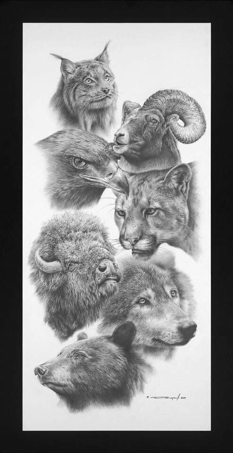 Pencil Drawing Ideas, Pencil Drawings Of Animals, Realistic Pencil Drawings, Animal Drawings Sketches, Wild Animals Pictures, Chestnut Horse, Wildlife Paintings, Desenho Tattoo, Amazing Drawings