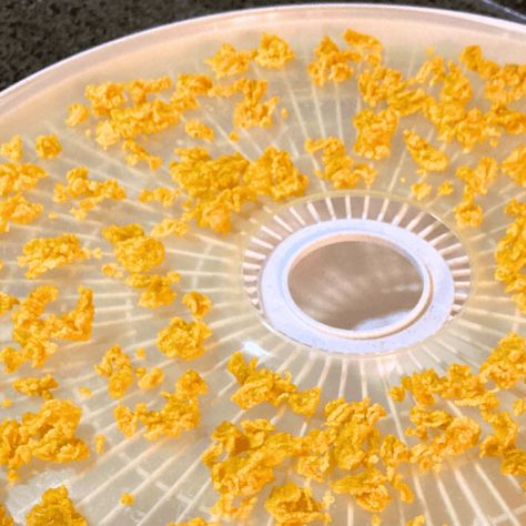 Dehydrate Eggs, Dehydrated Eggs, Dehydrator Ideas, Dehydrating Food, Dehydrated Vegetables, Dehydrated Food, Egg Whisk, Survival Food, Vegetarian Paleo