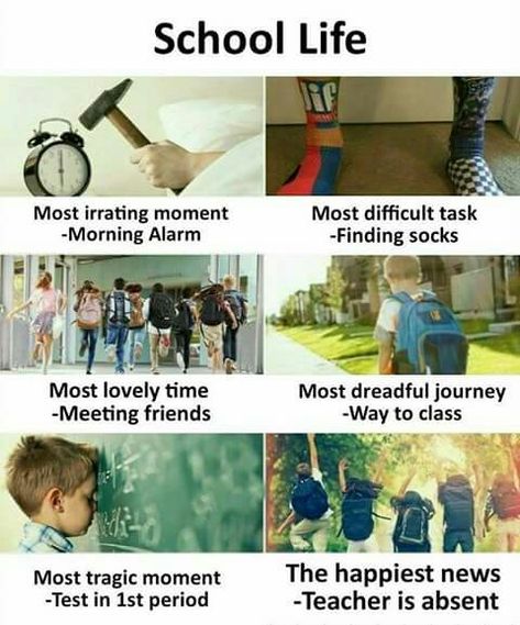 Hahahahaha true #tag if it school life was or is much more related to dis or is exactly like dis School Life Memories, School Life Quotes, Salford City, Bff Quotes Funny, School Quotes Funny, School Jokes, Best Friend Quotes Funny, Funny School Jokes, Funny Minion Quotes