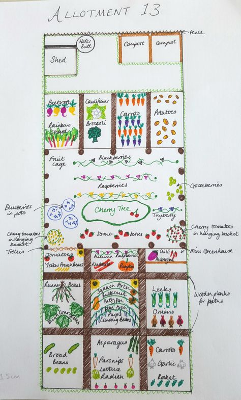 Excited for my first allotment, loads of work needed but decided to do a plan first.... Allotment Ideas Budget, Allotment Ideas Inspiration, Allotment Planner, Allotment Design, Allotment Plan, Allotment Shed, Allotment Ideas, Veg Patch, Allotment Gardening