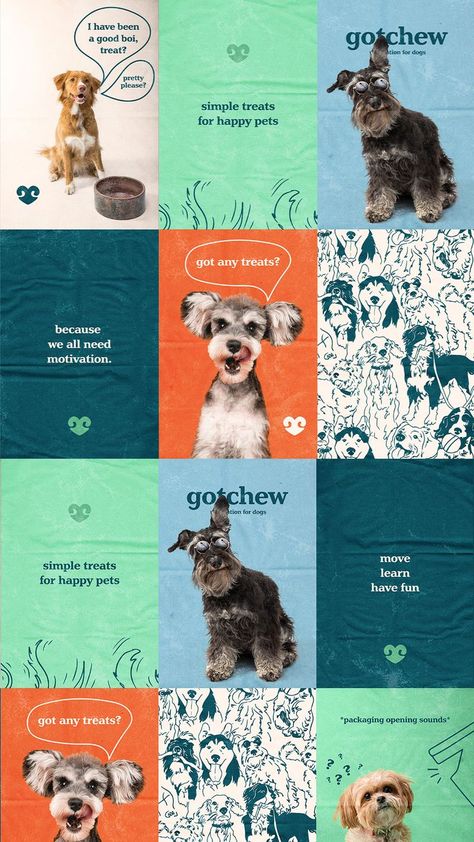 Gotchew is a brand that sells pet training treats 💗 The heart behind this brand is to provide pet owners with high motivational, healthy treats to encourage pets to move, learn, and have fun! Key words for this brand are: Energetic, Simple, Wholesome, Playful, and Honest. Disclaimer: this is a Passion Project, not a real brand. Media Branding Design, Dog Treat Packaging, Dog Marketing, Pet Food Packaging, Pet Branding, Social Media Branding Design, Pet Hotel, Dog Business, Dog Branding