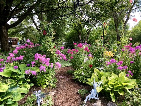 Illinois Garden, Growing Hollyhocks, Crabapple Tree, Sun Garden, Fine Gardening, Garden Photography, Crab Apple, Magical Moments, Garden Photos