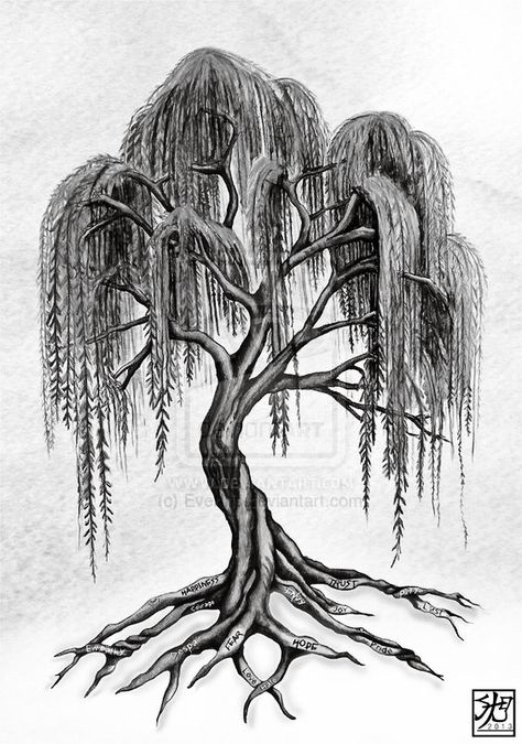 Finn's side tattoo Tattoo Tree Roots, Tree Tattoo Side, Weeping Willow Tattoo, Willow Tree Art, Hirsch Tattoo, Roots Tattoo, Willow Tree Tattoos, Tattoo Tree, Super Tattoo