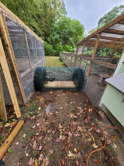 Build A Chicken Coop, Chicken Coop Pallets, Cute Chicken Coops, Chicken Coup, Chicken Feeders, Chicken Bird, Backyard Chicken Farming, Chicken Run, Chicken Cages