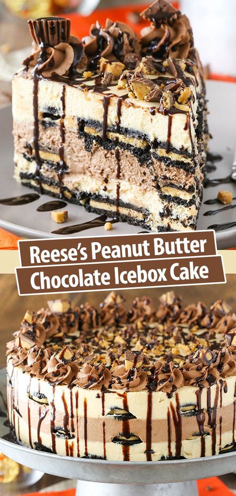 Chocolate Peanut Butter Cake Recipe, Peanut Butter Ice Cream Cake, Chocolate Icebox Cake, Peanut Butter Cake Recipe, Reese's Chocolate, Icebox Cake Recipes, Peanut Butter Ice Cream, Peanut Butter Cake, Peanut Butter Desserts