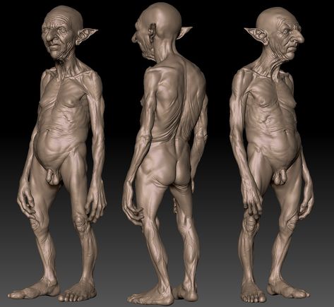 Eoin Cannon's Sketchbook: Goblin WIP Human Anatomy Study, Unity Image, Zbrush Anatomy, Human Body Shape, Anatomy Images, 3d Anatomy, Goblin Art, Male Pose, Zbrush Character