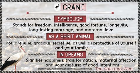 What does a crane symbolize, white crane, whooping crane, as a spirit animal, dream interpretation, significance in Asian countries, Chinese, Japanese Origami Crane Meaning, Crane Symbolism, Crane Meaning, Animal Totem Spirit Guides, Whooping Crane, Spirit Animal Meaning, Animal Meanings, Spirit Animal Totem, Spiritual Animal