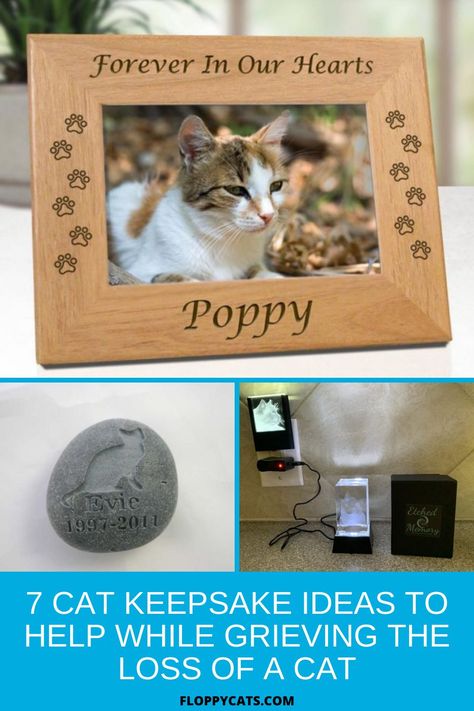 Having something to touch or to look at can greatly soothe the bittersweet feeling we get when missing our cat, so considering getting a keepsake may actually be the perfect idea for either yourself or a loved one grieving the loss of their cat. Check out these 7 cat keepsakes to help while grieving the loss of a cat. Loss Of A Cat, Keepsake Ideas, Cat Lover Shirt, Baby Kittens, Cat People, Ragdoll Cat, Cat Health, Cat Owners, Kitty Cat