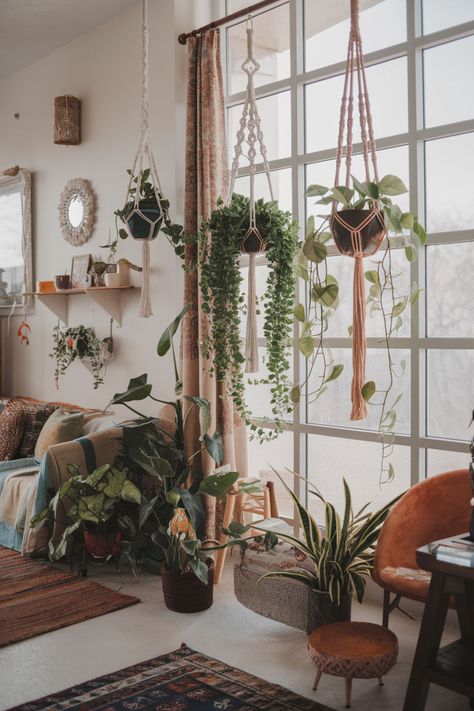 Knotted macramé hangers with lush green pothos hanging in a cozy living room. Apartment Plants Aesthetic, House Plant Aesthetic, Room Full Of Plants, Plant Room Ideas, House Plants Aesthetic, Interior Plants Decoration, Hanging Plant Ideas, Living Room Plants Decor, Plants Home Decor