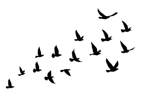 Bird Flying Tattoo, Flying Bird Vector, Bird Silhouette Tattoos, Bird Design Tattoo, Flying Bird Silhouette, Vogel Silhouette, Silhouette Tattoo, Flying Bird Tattoo, Flying Tattoo