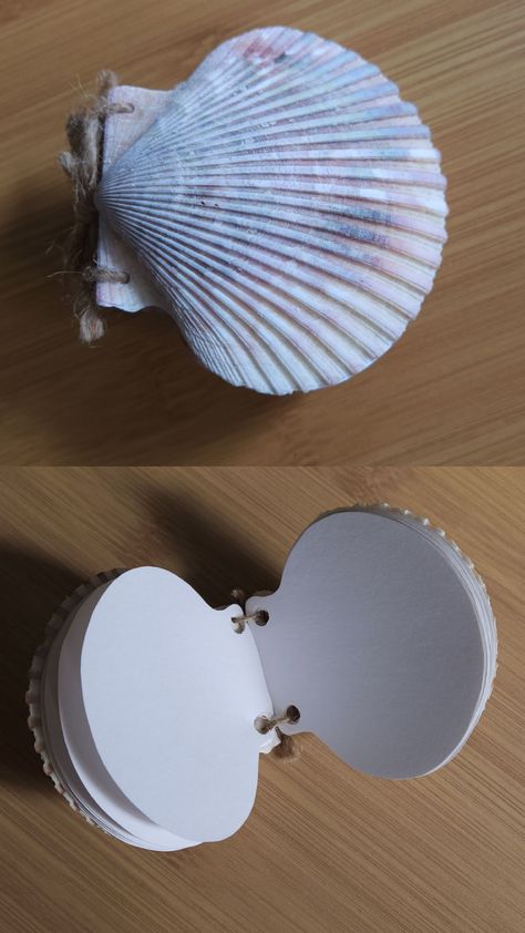 Diys With Seashells, Crafts To Make With Shells, Things To Do With Sea Shells Diy, Aesthetic Cardboard Crafts, Seashell Notebook, Diy With Shells, What To Do With Shells, Diy Shell Crafts, Shell Journal