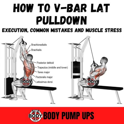 HOW TO V-BAR LAT PULLDOWN

The V-bar pull-down will help you emphasize the center of your back, while still working your lats. 
When my rep ranges go down, I'm increasing my

weight. When my rep ranges go up, I decrease my weight. Try this workout out and if you have any questions or concerns please comment them down Below!!!!

#pullover #v-bar #exercisetips #fitnessworkout #healthylifestyle #gymlover #yoga #workoutmotivation #bodypumpup #exercisegym #exercisemotivation #exercisetips #workoutti Lat Pull Down, Rep Ranges, Lat Pulldown, Latissimus Dorsi, Body Pump, Gym Routine, Work Outs, Back Exercises, Still Working