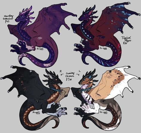 Evar on Instagram: “[Wyvern Adopts CLOSED] . some lil’ wyverns i’ve been working on between comms! comment or DM to claim . Hoading Enthusiast CLOSED Tropical…” Wyvern Art Reference, Wyvern Oc Art, Dragon Adopts, Wof Hybrids Oc, Wof Adopts, Wings Of Fire Adopts, Icewing Rainwing Hybrid, Tiny Dragon, Devian Art