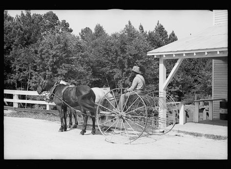 Resettlement client. September 1935. Fuquay Varina Nc, Arcade Bar, Biltmore Estate, Abandoned Mansions, New York Public Library, Vintage Pictures, Rare Photos, Beautiful Places To Visit, Vintage Photographs