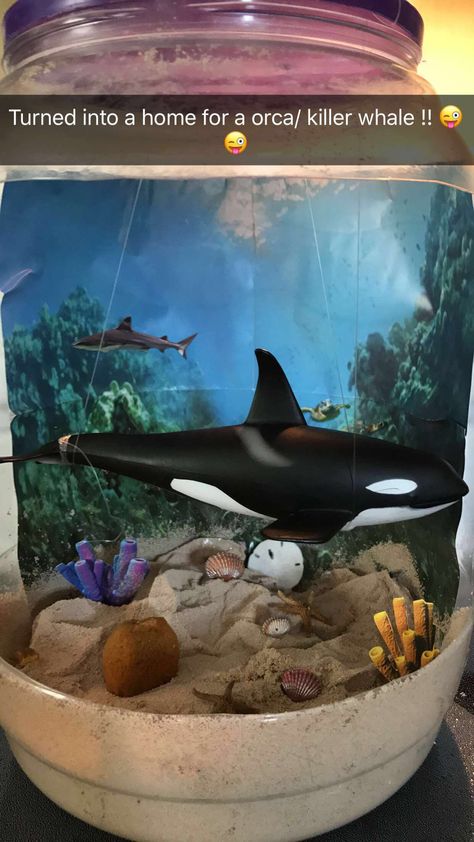 Orca diorama Orca Whale Habitat Project, Orca Diorama School Projects, Orca Habitat Project, Orca Diorama, Diorama School Projects, Whale Diorama, Orca Whale Drawing, Orca Whale Painting, Cartoon Orca