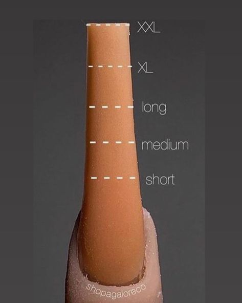 Chynn Le Nail Trap💅🏽 on Instagram: “Nail length guide that will determine price of set” Nail Length Chart, January Nail Designs, Holiday Nails Christmas, January Nails, Nail Prices, Acrylic Nails Coffin Pink, Nail Forms, Instagram Nails, Nail Fungus